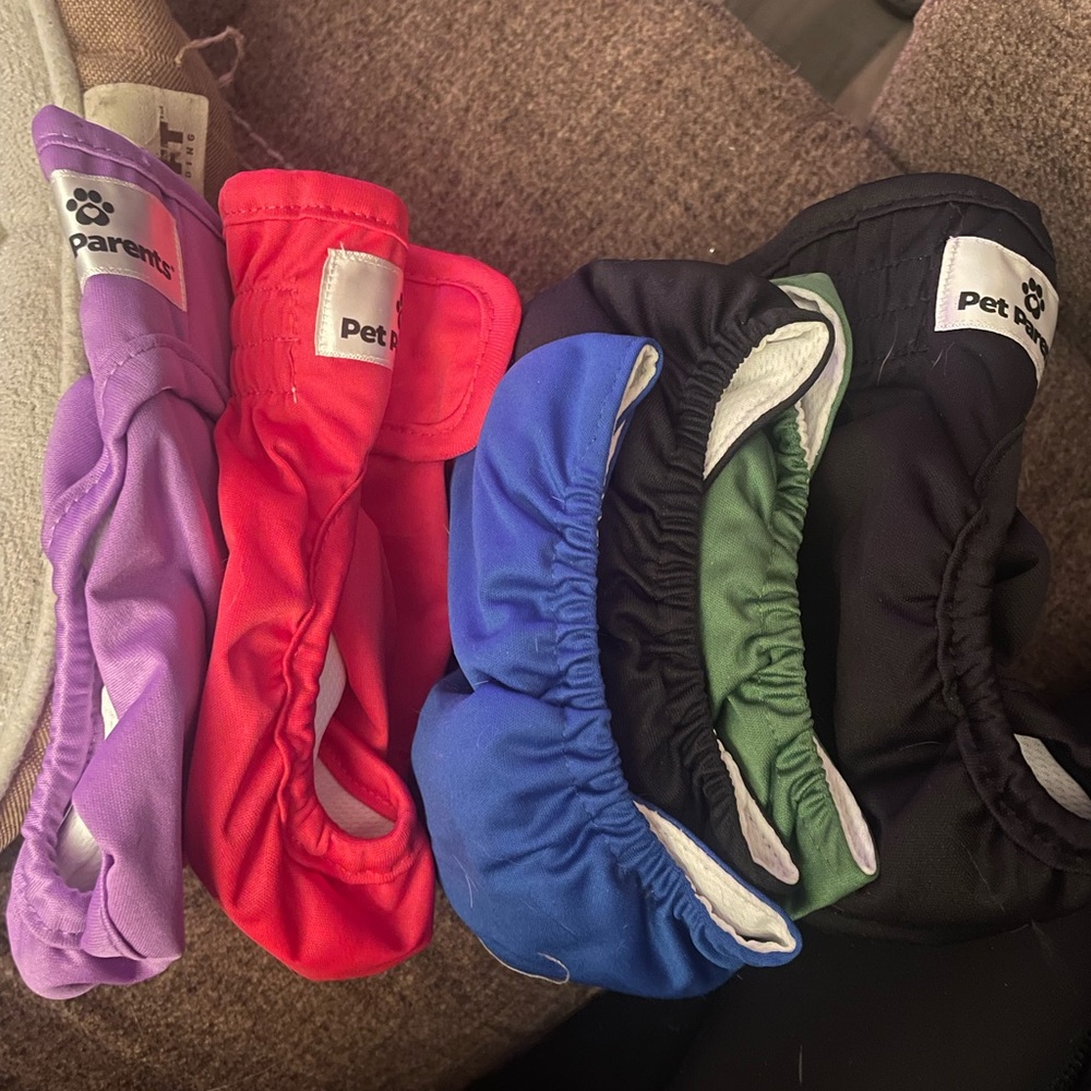 Small puppy bundle pack